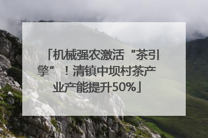 机械强农激活“茶引擎”！清镇中坝村茶产业产能提升50%