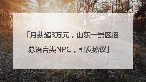 月薪超3万元，山东一景区招募语言类NPC，引发热议