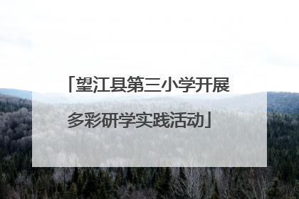 望江县第三小学开展多彩研学实践活动