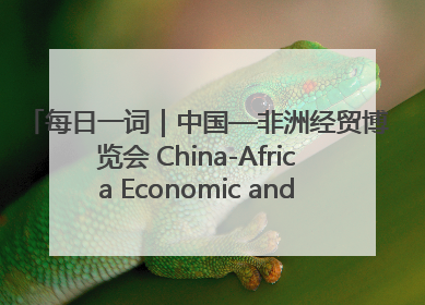 每日一词｜中国—非洲经贸博览会 China-Africa Economic and Trade Expo