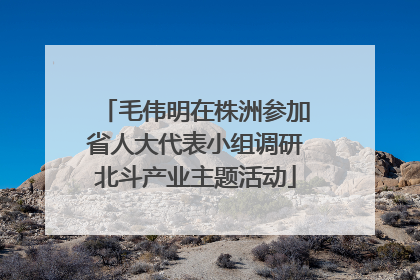 毛伟明在株洲参加省人大代表小组调研北斗产业主题活动
