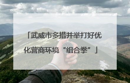 武威市多措并举打好优化营商环境“组合拳”