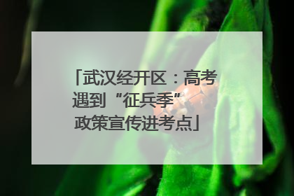 武汉经开区：高考遇到“征兵季”  政策宣传进考点