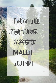 武汉再迎消费新地标 光谷京东MALL正式开业