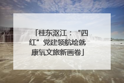 桂东沤江：“四红”党建领航绘就康氧文旅新画卷