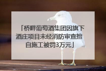 桥畔葡萄酒集团因旗下酒庄项目未经消防审查擅自施工被罚3万元