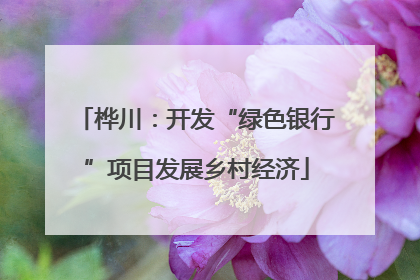 桦川：开发“绿色银行”项目发展乡村经济