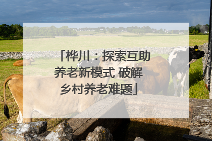 桦川：探索互助养老新模式 破解乡村养老难题