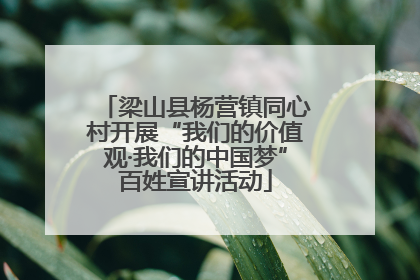 梁山县杨营镇同心村开展“我们的价值观·我们的中国梦”百姓宣讲活动