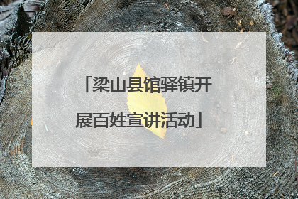 梁山县馆驿镇开展百姓宣讲活动