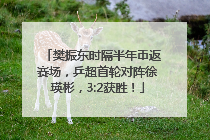 樊振东时隔半年重返赛场，乒超首轮对阵徐瑛彬，3:2获胜！