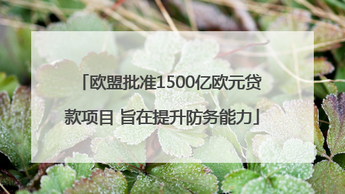欧盟批准1500亿欧元贷款项目 旨在提升防务能力