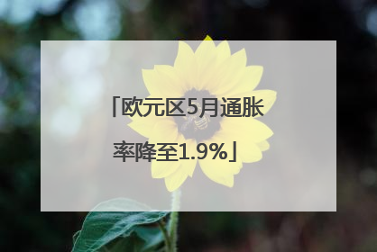 欧元区5月通胀率降至1.9%