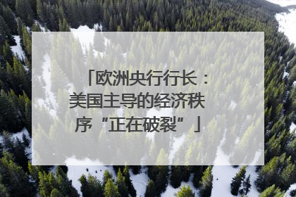 欧洲央行行长：美国主导的经济秩序“正在破裂”