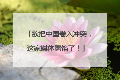 欲把中国卷入冲突，这家媒体露馅了！