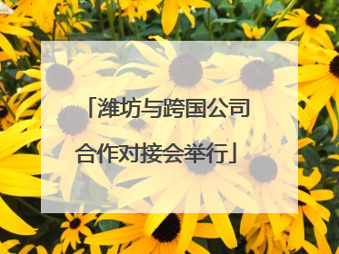 潍坊与跨国公司合作对接会举行