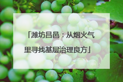 潍坊昌邑：从烟火气里寻找基层治理良方