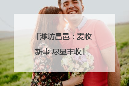 潍坊昌邑：麦收新事 尽显丰收