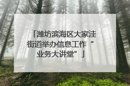 潍坊滨海区大家洼街道举办信息工作“业务大讲堂”