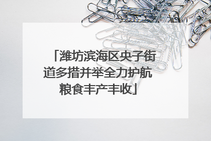 潍坊滨海区央子街道多措并举全力护航粮食丰产丰收