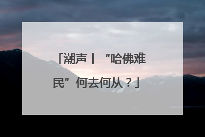 潮声丨“哈佛难民”何去何从？