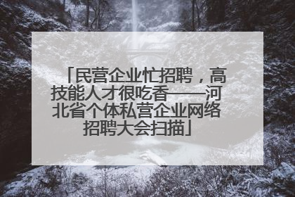 民营企业忙招聘，高技能人才很吃香——河北省个体私营企业网络招聘大会扫描