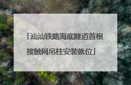 汕汕铁路海底隧道首根接触网吊柱安装就位