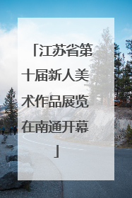 江苏省第十届新人美术作品展览在南通开幕