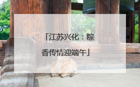 江苏兴化：粽香传情迎端午