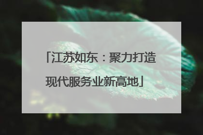江苏如东：聚力打造现代服务业新高地