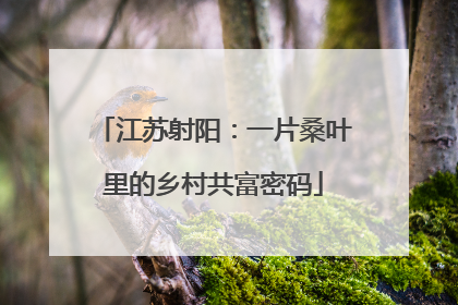 江苏射阳：一片桑叶里的乡村共富密码