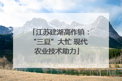江苏建湖高作镇：“三夏”大忙 现代农业技术助力