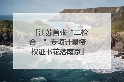 江苏首张“二检合一”专项计量授权证书花落南京