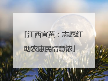 江西宜黄：志愿红助农惠民情意浓