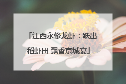 江西永修龙虾：跃出稻虾田 飘香京城宴
