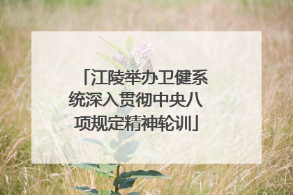 江陵举办卫健系统深入贯彻中央八项规定精神轮训