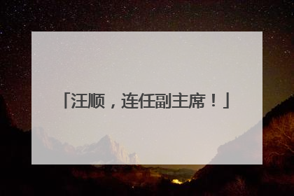 汪顺，连任副主席！