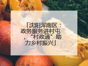 沈阳浑南区:政务服务进村屯,“村政通”助力乡村振兴