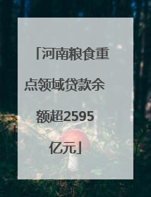 河南粮食重点领域贷款余额超2595亿元