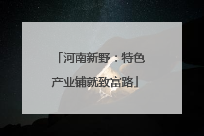 河南新野：特色产业铺就致富路