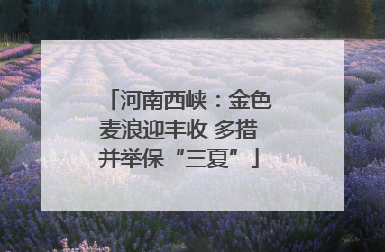 河南西峡：金色麦浪迎丰收 多措并举保“三夏”