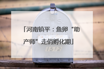 河南镇平：鱼卵“助产师”走俏孵化期