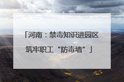 河南：禁毒知识进园区 筑牢职工“防毒墙”