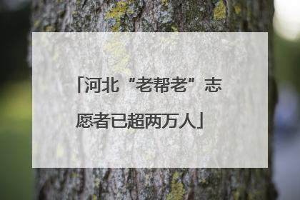 河北“老帮老”志愿者已超两万人