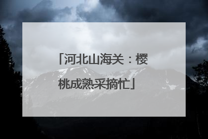 河北山海关：樱桃成熟采摘忙