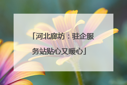 河北廊坊：驻企服务站贴心又暖心