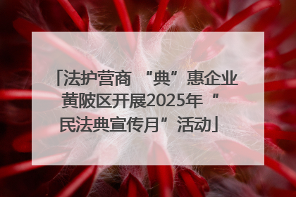 法护营商 “典”惠企业 黄陂区开展2025年“民法典宣传月”活动