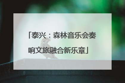 泰兴：森林音乐会奏响文旅融合新乐章