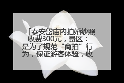 泰安岱庙内拍婚纱照收费300元，景区：是为了规范“商拍”行为，保证游客体验，收取费用全部上交国库