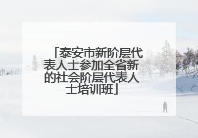 泰安市新阶层代表人士参加全省新的社会阶层代表人士培训班